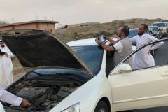 b12832b3-4fd3-4cad-82b3-8cd8d00cb70c